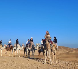 5 Day Reconnection, Radiance, and Adventure Yoga Tour in Morocco - Photo 3