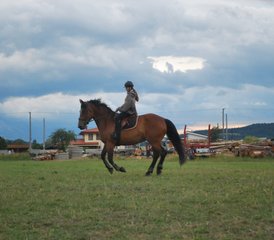 6 jours en stage d'équitation d'été à Hrabušice, Slovaquie - Photo 5