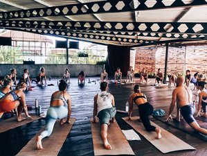 27 Day 200-Hour Transformative Vinyasa and Hatha Yoga Teacher Training in Canggu, Bali, Indonesia
