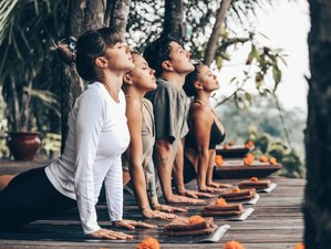 8 días de retiro de coaching, yoga y mindfulness en Bali, Indonesia