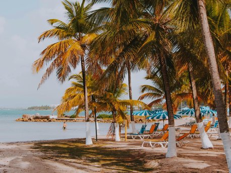 Basse-Terre