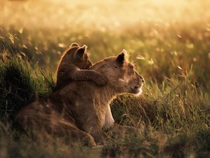 4 Day Mid-Range Lodge and 1 Night Camping Safari in Tanzania