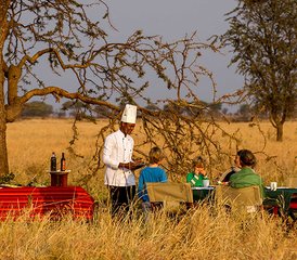 7 Tage Private Luxus-Lodge- und Migrationssafari in Tansania - Photo 3