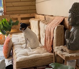 4 días de retiro de yoga en Matsya, Costa Vasca, Francia - Photo 3
