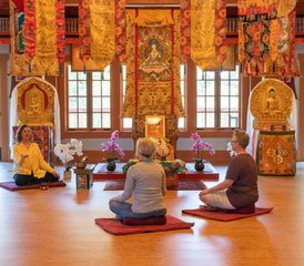 4 días de fin de semana de autocuidado: retiro de yoga por el Día del Trabajo en Cazadero, California, Estados Unidos - Photo 4