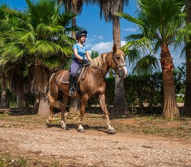 8 Day Equikinetic and Dual Activation Horse Riding Program in Mallorca, Spain - Photo 2