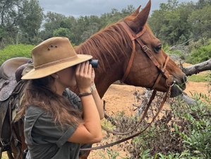 10 Tage Safari zu Pferd in der Greater-Kruger-Region, Südafrika