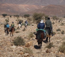 6 jours de randonnée équestre dans le désert au Maroc - Photo 4