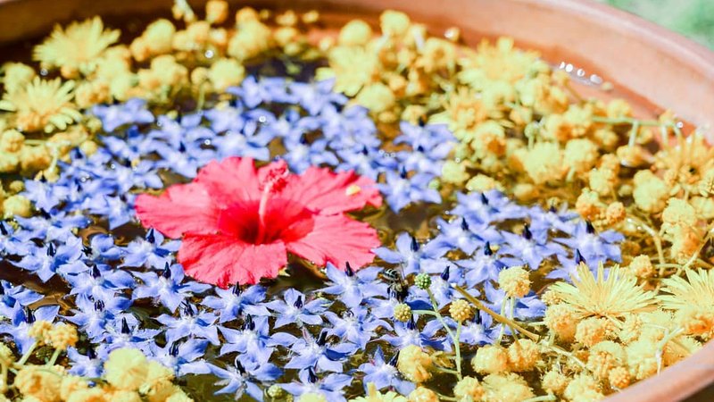 29 Day 200-Hour Ashtanga Vinyasa Yoga Teacher Training Course in Los Caños de Meca, Spain
