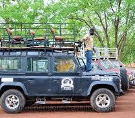 10-Daagse Geschiedenis-, Erfgoed- en Wildlife-safari in Noord-, Midden- en Zuid-Ghana - Photo 4