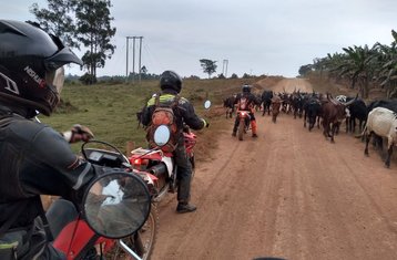 9 días de tour guiado en moto por lo más destacado de Ruanda: grandes lagos, montañas y gente amable
