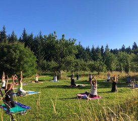 34 Tage „Metta – Liebende Güte“ Stille-Retreat mit Heike in Tuttlingen, Deutschland - Photo 1