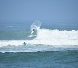 47 días de paquete de surf para principiantes todo incluido en Punta Hermosa, Perú - Photo 1