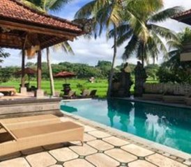 8 Day Yoga Holiday: Wellness and Pamper Week for Women over 45 Years Old in Ubud, Bali, Indonesia - Photo 3