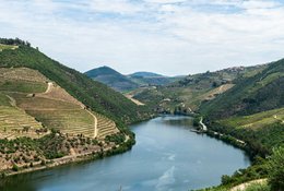 7 Day Reset and Transform: The Douro Valley Premium Women's Retreat in Portugal