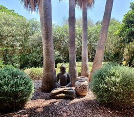 5 Tage Base Camp Yoga und Coaching Retreat „Cal Reiet“ auf Mallorca - Photo 2
