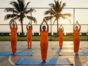 20 Tage World Yoga Zertifizierte Yogalehrer Ausbildung in Morib Beach, Malaysia