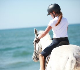 7 jours stage standard en saut d’obstacles et dressage à Apúlia e Fão, Esposende, Portugal - Photo 3