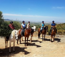 65 Day Extraordinary Horse Riding Holiday in Mollina, Malaga, Spain - Photo 1