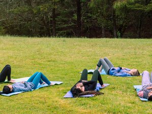 3 Day Tame Your ADHD Traits and Manage Your Anxiety With MBACP Therapist and Coach in Windsor, UK