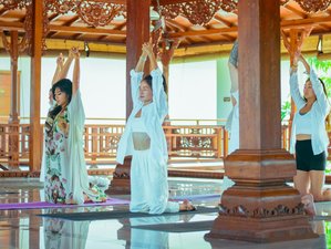 10 Day 100-Hour Hatha, Vinyasa, and Ashtanga Yoga Teacher Training in Ubud, Bali, Indonesia