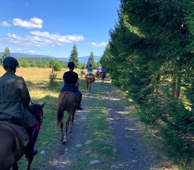 5 Tage Wildnis und Stille Reiturlaub in Rumänien - Photo 5