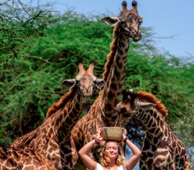 4 Tage Exklusive Serval-Wildlife- Und Chemka-Safari in Tansania - Photo 4