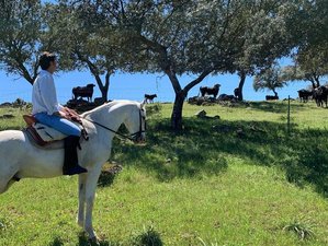 2 Day Cattle Ranch Stay with Two Riding Routes in Jaén, Andalusia
