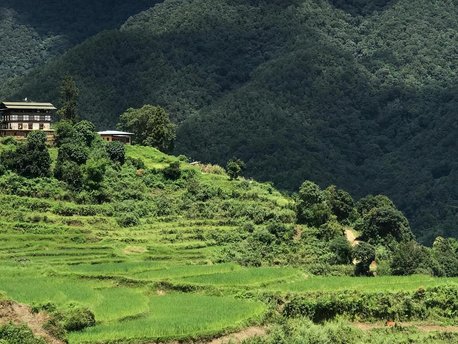 Phuntsholing