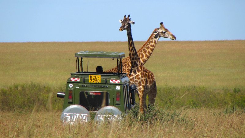 6 Day Marangu Route Climbing Tour in Great Mount Kilimanjaro, Tanzania