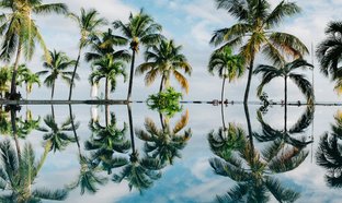 Mauritius Retreats & Trips