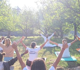44 Day Online D’vine Kriya Yoga Workshop With 2 Daily 60 to 90-Minute Live Sessions - Photo 1