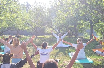 4-Daagse Online D’vine Kriya Yoga Workshop Met 2 Dagelijkse Live Sessies Van 60 Tot 90 Minuten