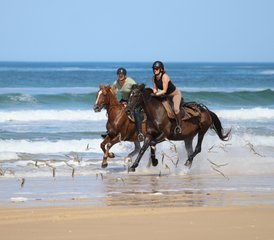 14 Day Horse Riding Weekend in the Landes, France - Photo 1