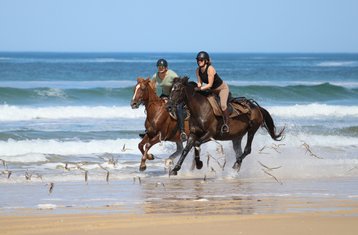 4 Tage Reitwochenende in den Landes, Frankreich