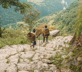 610 jours en stage de yoga et randonnée dans les collines de l’Annapurna au Népal - Photo 1
