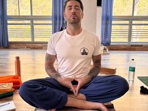 7 Tage Yin - Yang (mit Klangheilung & Aerial Yin) Yogalehrer Ausbildung in Rishikesh