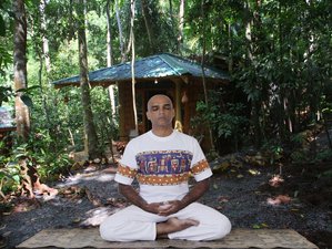 3 Day Spice Forest Meditation and Yoga Retreat with Ayurveda in Kandy, Central Province, Sri Lanka