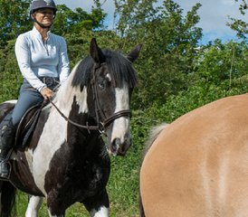 4 jours en stage d’équitation dans les collines et sur la côte nord du comté d’Antrim, Irlande du Nord - Photo 5