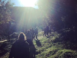 3-Daagse Vision Walk Wandel Retraite met Meditatie en Yoga in de Ardennen