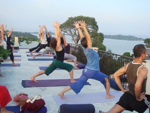 7 Day A Passage to South India Yoga Retreat in Kerala, India 