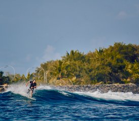 11-Daagse Central Atoll Surf Liveaboard Trip in de Malediven - Photo 3