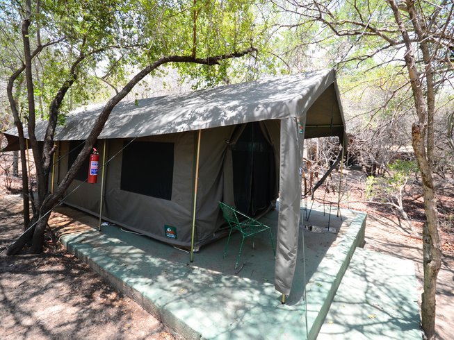 4 Days Budget Safari In Balule Nature Reserve And Kruger National