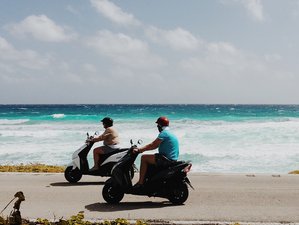 Scooter Tours