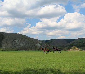 8 Tage Sumadija Trail Pferdereittour in Westserbien - Photo 4