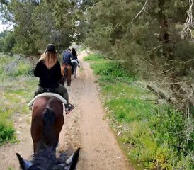 3 Jour Circuit Privé à Cheval au Maroc pour Tous les Niveaux : Forêt, Dunes et Plages - Photo 4
