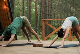 Continuing Education Yoga Courses Retreats & Trips