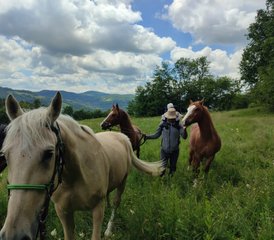 3 Tage Sternenpfad Reiturlaub in Moravica, Serbien - Photo 4
