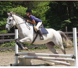 20 jours camp équestre d’été pour garçons à Newbury, Vermont, USA - Photo 2