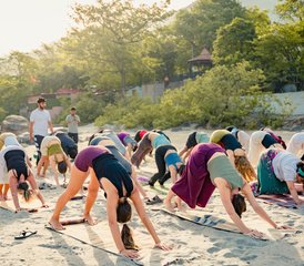 19-Daagse 200-urige Holistische Yoga Docentenopleiding in Rishikesh, India - Photo 5